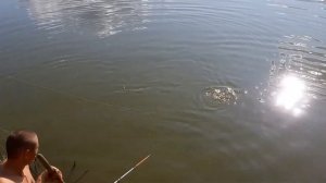 Как нужно работать с подсаком