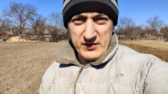 Морковь, оставленная на зиму в огороде, перезимовала, в чём секрет? смотреть онлайн