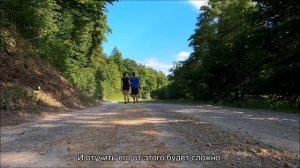 Можно ли выгуливать кошку?