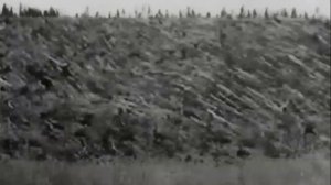 Тунгусский метеорит 1908 год \\ проект Осипова Юлия 9В //