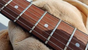 Epiphone LP special VE В поисках Гондурасского Махагона 2