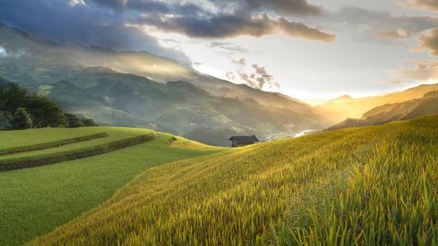 КАКИЕ НЕЖНОСТИ?! ИДИ МНЕ ЖРАТЬ ГОТОВЬ Я Ж МУЖИК! ЗАЯВИЛ МУЖ РИТЕ ПОСЛЕ БРАЧНОЙ НОЧИ...