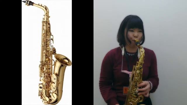【YANAGISAWA】アルトサックス吹き比べ/島村楽器アリオ橋本店インストラクター смотреть онлайн