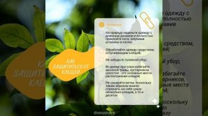 Как защититься от клещей?