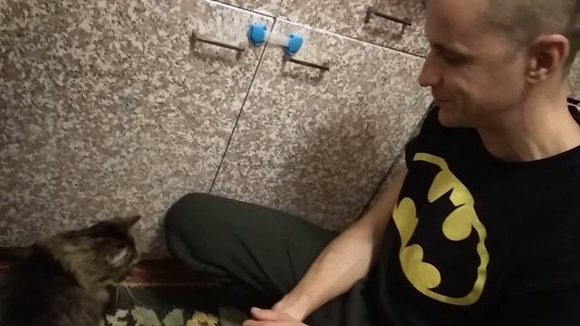 ?Кот Жулик хочет обнимашек ?Дрессировка кота ??Почему кошку зовут Кусачка смотреть онлайн