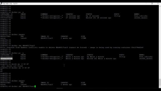 Docker Tutorial :  Docker Basic Commands