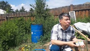 МЕТРОНИДАЗОЛ ДЛЯ БОРЬБЫ С ЛУКОВОЙ МУХОЙ