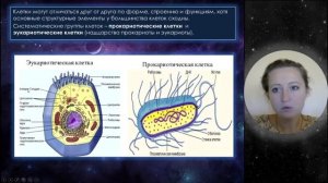 Урок 5. Клетка как биологическая система с примерами заданий ЕГЭ