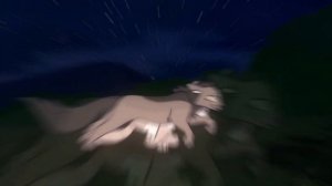 Коты-Воители [Огнезвёзд, Крутобок, Горелый] {заказ} - Лучшие друзья