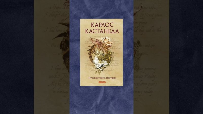 Один из лучших учителей - конечно, книги. Самые сильные мысли я черпаю именно из книг.