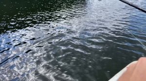 Озеро Яльчик | Рыбалка в Жару