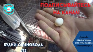 А у нас пополнение!