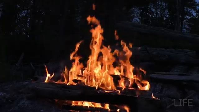 10 ЧАСОВ РАССЛАБЛЕНИЯ | ТРЕСК КОСТРА И ШУМ ЛЕСНОГО РУЧЬЯ смотреть онлайн