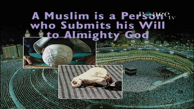 Что такое Ислам . Закир Найк смотреть онлайн