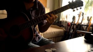 Pantera - Floods второе соло на акустической гитаре