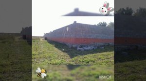 Кроликоферма. Стройка фермы для разведения кроликов