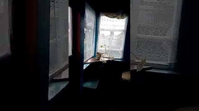 Квартира на земле в Тогучине! смотреть онлайн