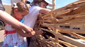 ВЛОГ БиоПарк смотрим животные и едем в МакДональдс покупать Хеппи Милл и новые и