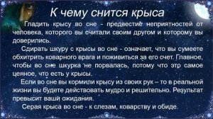 К чему снится Крыса – толкование сна по Соннику