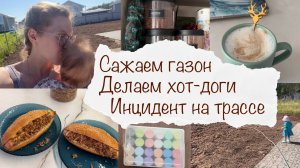 САЖАЕМ ГАЗОН 🍀 ВКУСНЕЙШИЕ ХОТ-ДОГИ 🌭 ИНЦИДЕНТ НА ДОРОГЕ 😱 ВЛОГ