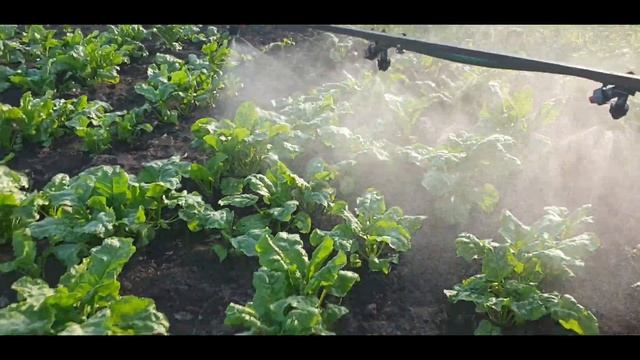 Оранка.Підгортання картоплі.Косіння люцерки КР1.1.Оприскувач до мототрактора.Граблі сонечко смотреть онлайн