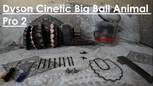 Разбор фильтра. Dyson Cinetic Big Ball Animal Pro 2.