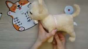 Снятие мерок с собаки для вязания свитера