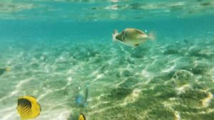 Пляж Baron Palms и Baron Resort, мои выводы о пляже и сноркелинг