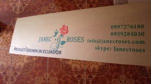 РОЗЫ ЭКВАДОРА: плантации, упаковка и экспорт
