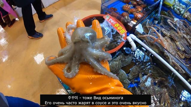 Корейский рынок морепродуктов Норянджин, морские черви и другая вкуснятина [오!한국어, Оля] смотреть онлайн