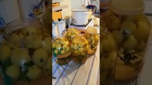 КАК СДЕЛАТЬ НЕВЕРОЯТНО ВКУСНЫЙ КОМПОТ из РАНЕТОК??? А ПОЧЕМУ БЫ И НЕТ!!!