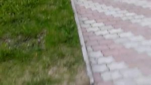 ДХО для Круза!