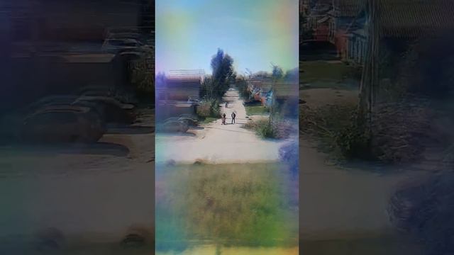 Самба белого мотылька? смотреть онлайн