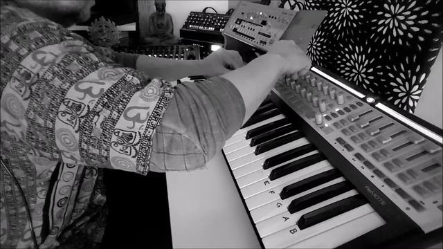 Roland SH01-TB03-System 8 ૐ Goa Trance Jam ૐ смотреть онлайн