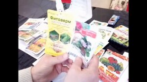 Аптечка садовода. Препараты для хризантем