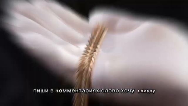 17 ноября 2023 г. смотреть онлайн