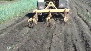 Т25 прополка картофеля ежами