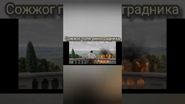 Дорама: Винченцо. Сожжог поля виноградника😯😲