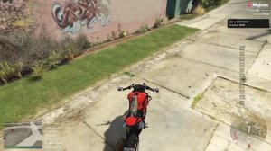 БАРСИК В ПОИСКАХ МЯТЫ в GTA 5? ЗАМУРЧАТЕЛЬНЫЙ КОТ на Majestic RP