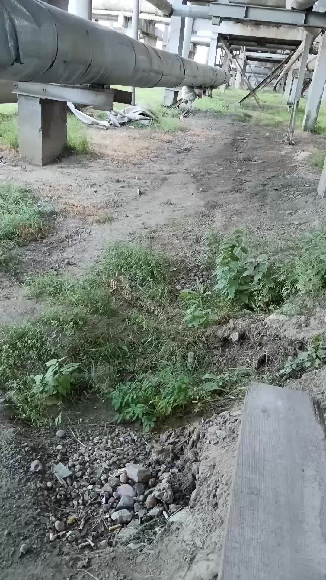 перекур
