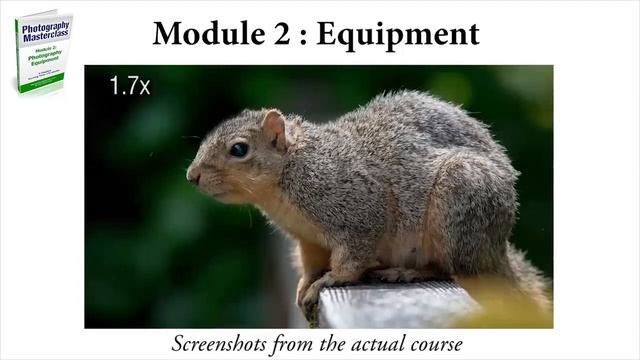 Online Digital Photography Classes: Amazing DSLR Photography Lessons for Beginners - Fast Results! смотреть онлайн