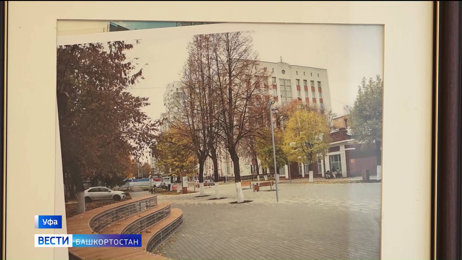 В Уфе высадят 45 тысяч новых деревьев к юбилею столицы