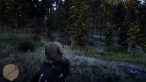 Помповый дробовик, 100$ в начале игры(RDR2)