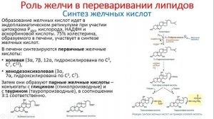 Биохимия. Лекция 56. Липиды. 2 часть