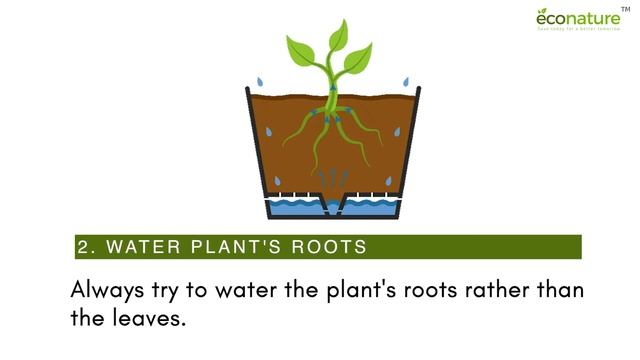 5 Ways To Save Water At Home | EcoNature Water Saving Aerator |Save Water | Up to 83% of Water Save смотреть онлайн