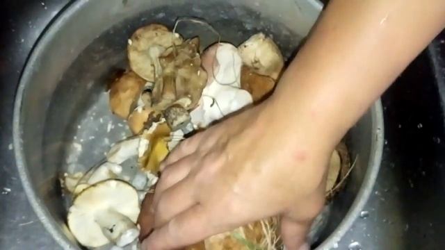 Варим лесную земляничку**испекли пирог с грибами**уточка на ужин. смотреть онлайн