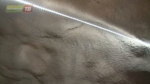 Дорога в недра