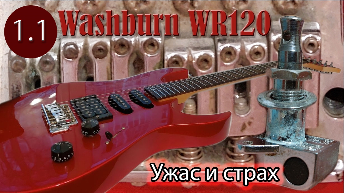 1.1 Washburn WR120 - Ужас и страх.