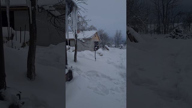 Зима, Что у нас сейчас происходит в деревне.  Семья целителей из Минска смотреть онлайн