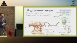 Лекция Ильи Кабиольского "Нейрофизиология и искусство" в рамках лектория "Архэ Лайт"